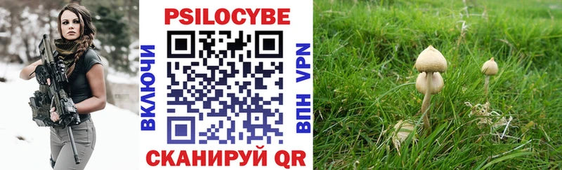 Галлюциногенные грибы Psilocybine cubensis  где можно купить   Нижняя Тура 